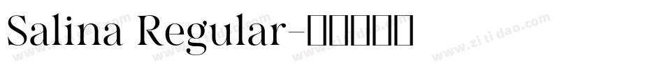 Salina Regular字体转换